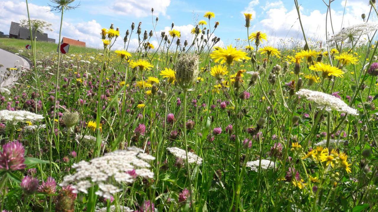 Gemuetliches Haeuschen Im Alten Land Jork Dış mekan fotoğraf